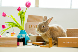 Eco Friendly Makeup Subscription Boxes